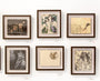 A gallery wall features six framed artworks, each a unique masterpiece by Jean Labourdette, including striking oil on Moleskine pieces and the haunting Dead Messenger, all elegantly mounted in wooden frames on a pristine white wall.