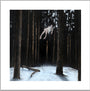 A person floats horizontally in the air in a dense, dark forest filled with tall trees. The snowy ground enhances the ethereal scene, reminiscent of a Henrik Uldalen fine art giclee prints dreamlike quality.