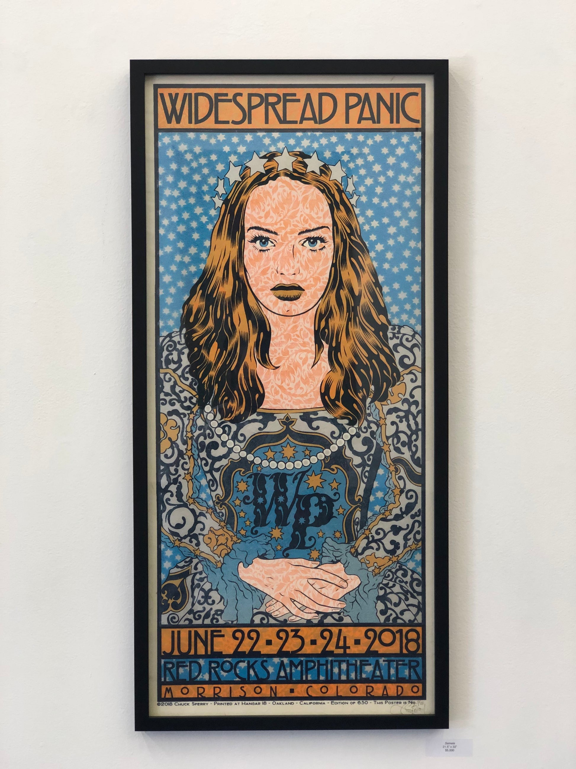 Chuck Sperry -  Widespread Panic, Red Rocks 2018 - Spoke Art