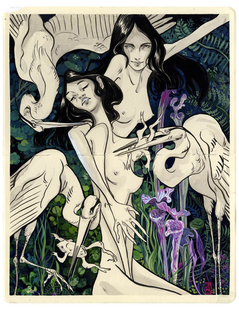 An artistic illustration of two entwined figures with long dark hair in J.A.W. Coopers style, set amid white herons and vibrant flowers. Rendered in India ink with intricate patterns and expressive lines against a lush green backdrop, it conveys a sense of possession over nature.