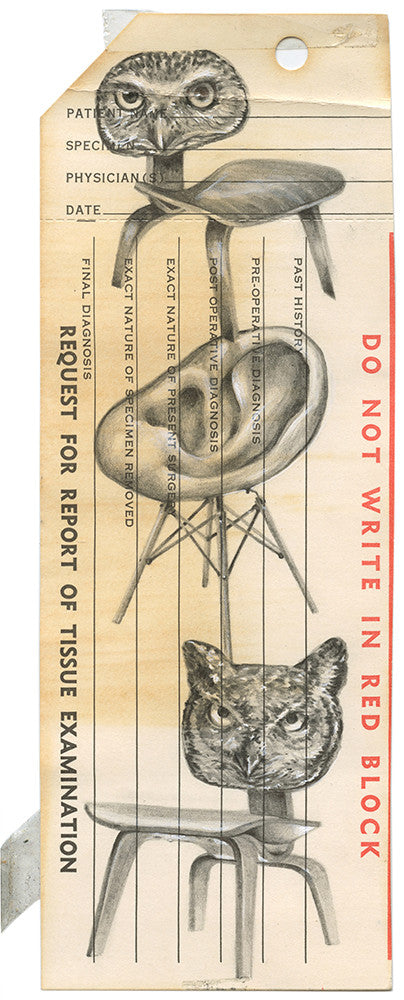 A vintage medical form by Jason DAquino, inked in graphite, showcases two owl sketches on chairs. It contains sections for patient details and diagnosis, with a red warning on the right side stating, Do not write in red block.