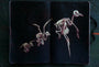 A sketchbook shows skeletal, bird-like figures in flight against a dark background, echoing Jean Labourdettes eerie style. Their intricate bones and wings evoke the haunting essence of Dead Messenger, creating an artistic and ghostly scene.