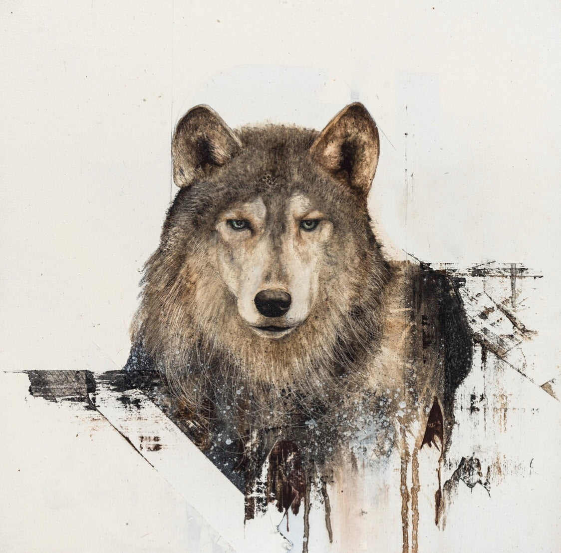 Kevin Earl Taylor - "Untame" - Spoke Art