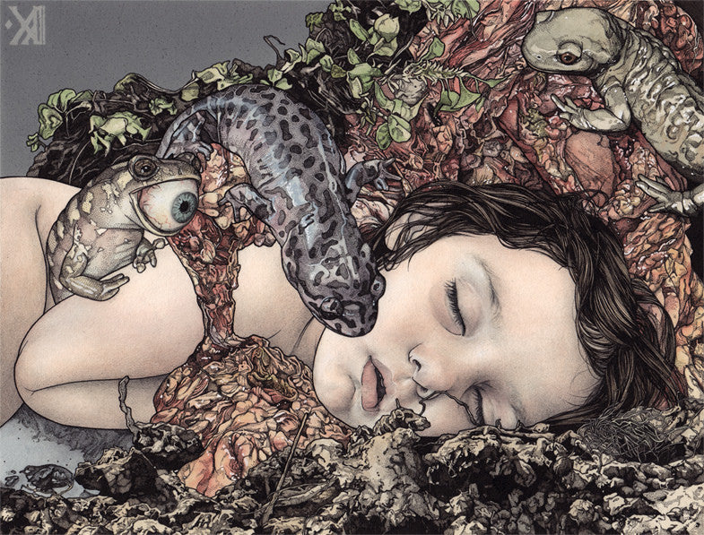 A tranquil scene of a sleeping child encircled by vibrant amphibians, with leaves and plants framing the picture, evokes natural and dream-like qualities in Kikyz1313s ethereal style at Spoke Art Gallery.