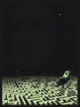 An owl perches on a Sam Smith labyrinth screen print in a surreal image with a dark green hue. A faint face blends into the starry sky like a glow-in-the-dark layer.