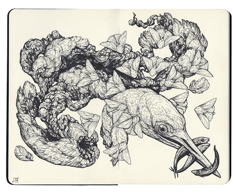 Lauren Marx - "Anhinga" - Spoke Art