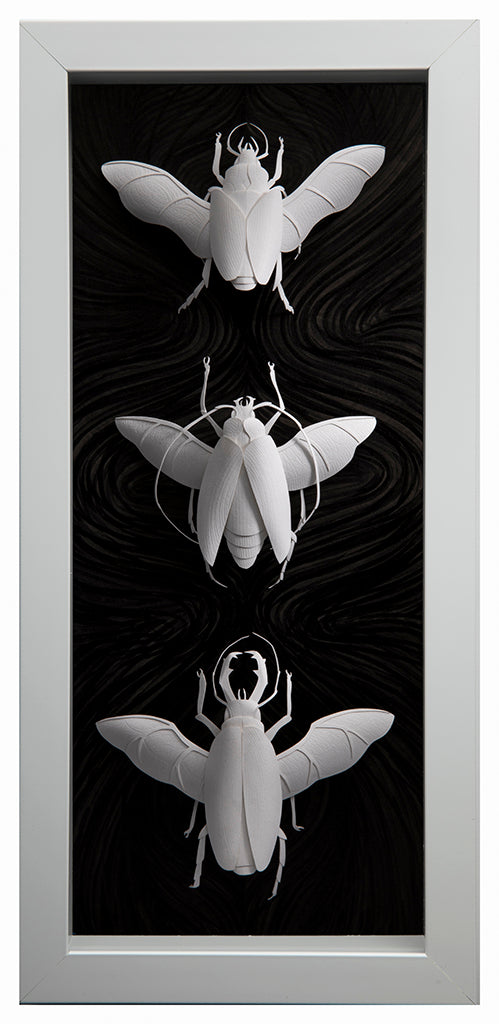 Marisa Aragón Ware - "Coleoptera II" - Spoke Art