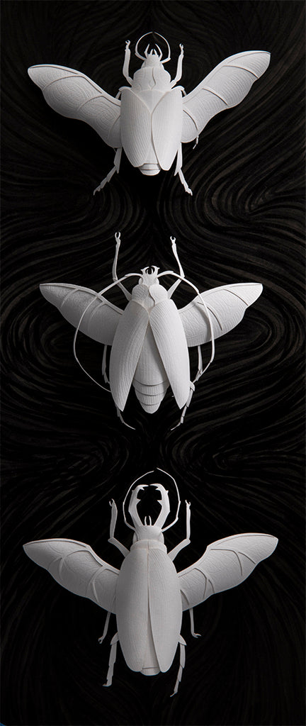 Marisa Aragón Ware - "Coleoptera II" - Spoke Art