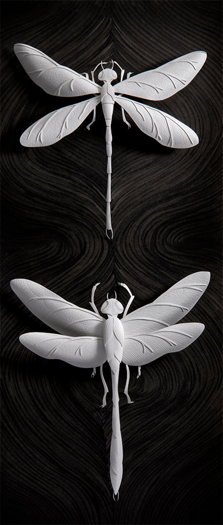 Marisa Aragón Ware - "Odonata" - Spoke Art