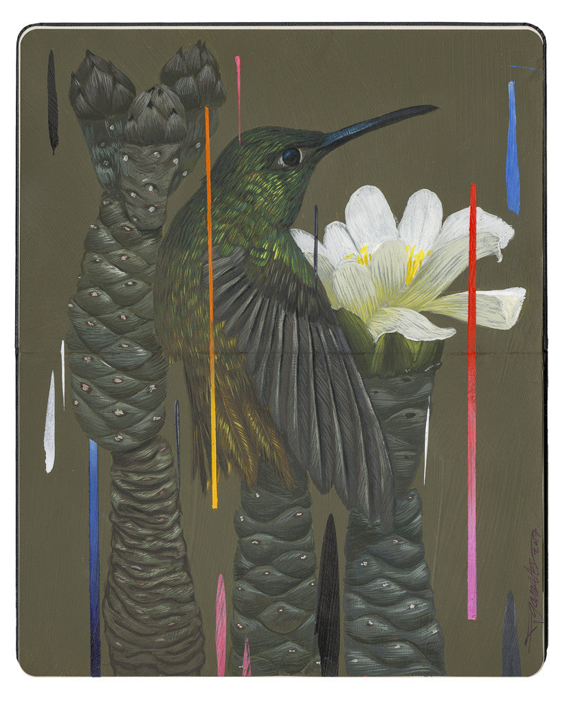 Frank Gonzales - "Buff Bellied Hummingbird and Pine Cone Chollas" - Spoke Art