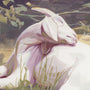 J.A.W. Cooper - "Naps" - Spoke Art