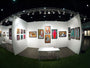 The gallery features white walls with colorful framed paintings, including acrylics on wood by Caia Koopman. A small white table and chair occupy the center, while track lighting accents artworks celebrating biodiversity with abstract and figurative designs.