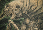 A detailed screen print by Godmachine features a surreal humanoid insect with textured skin, a long nose, and multiple limbs. The art evokes the vintage fantasy vibe of the City of Lost Children with green and brown hues.