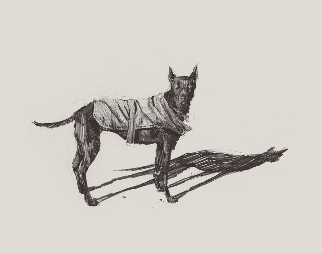 Pat Perry - "Untitled (dog)" - Spoke Art