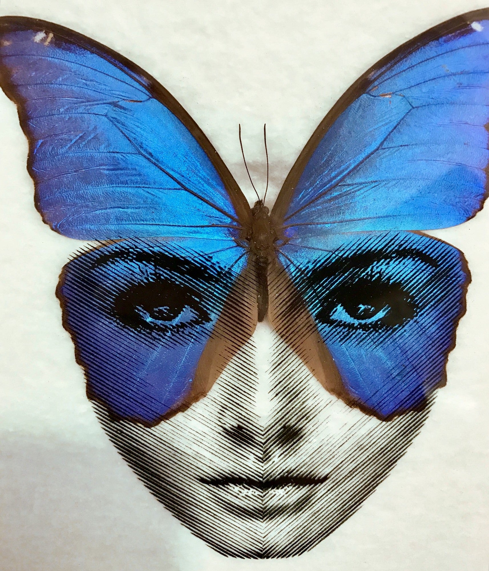 Penny - "Heads and Tales" - Spoke Art