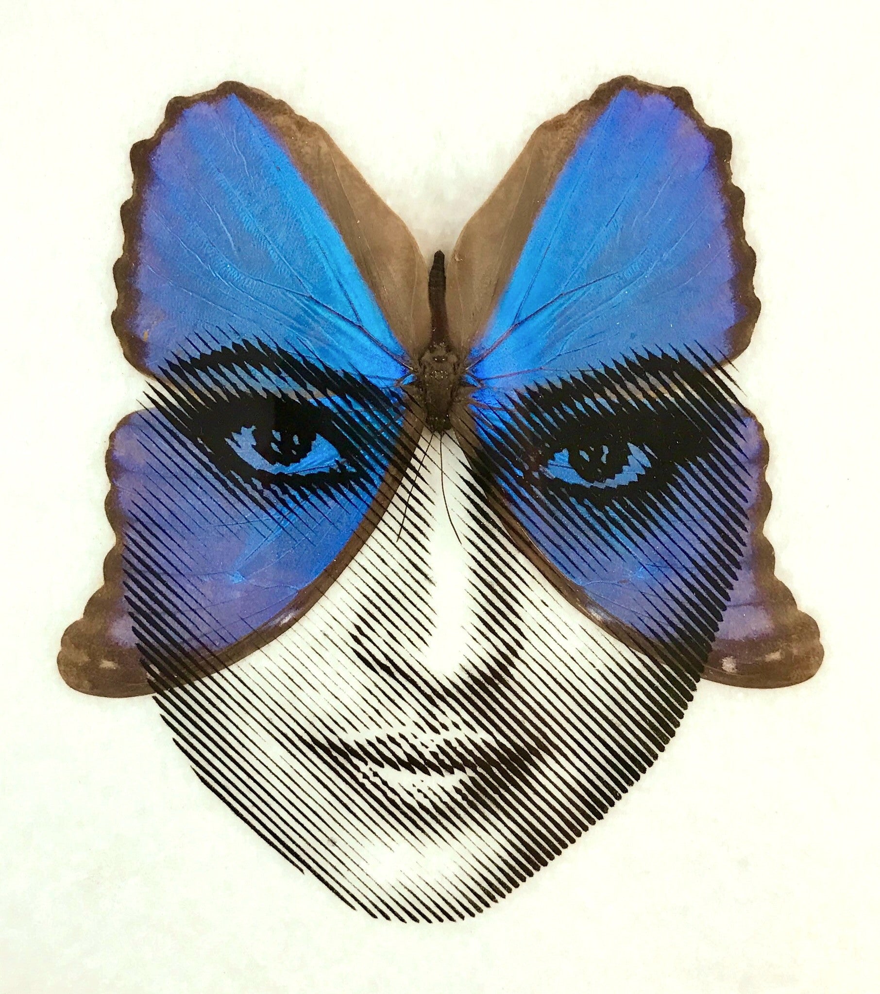 Penny - "Meeting of Minds" - Spoke Art