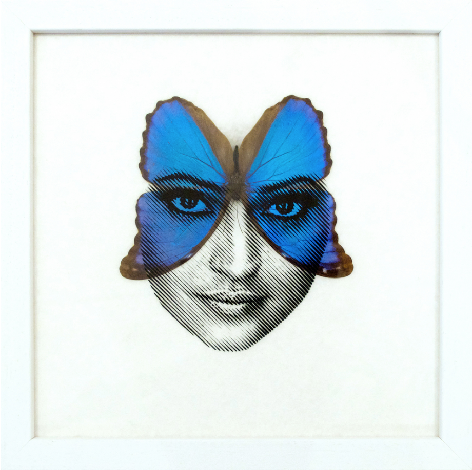 Penny - "Meeting of Minds" - Spoke Art