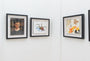 Loribelle Spirovski  - "Momento Mori Revisited" - Spoke Art