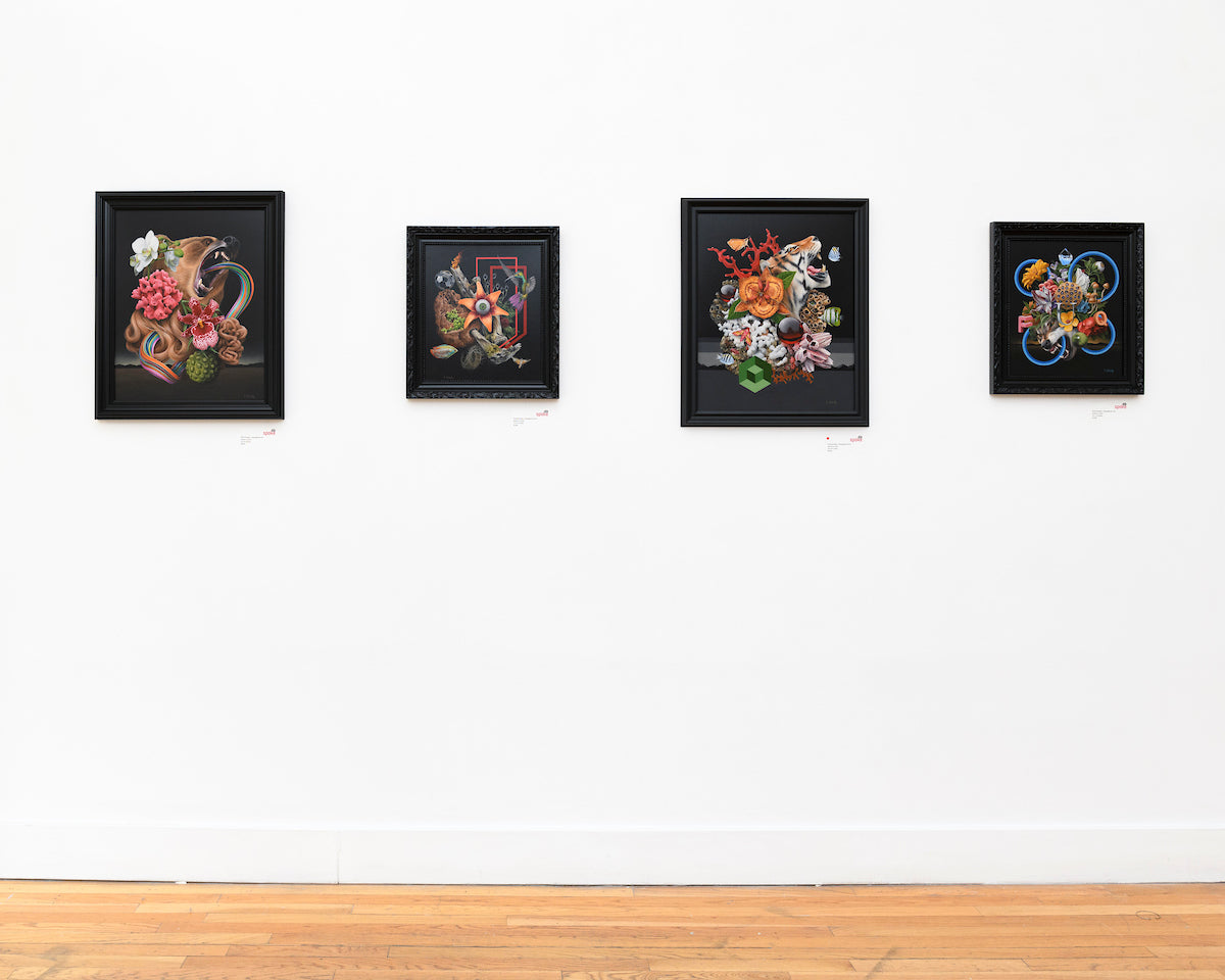 Installation view of Scott Scheidly's Entanglement exhibition at Spoke Art San Francisco