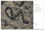 Suggestivism: Resonance - Spoke Art