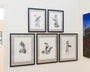 The gallery wall displays Xiau-Fong Wees framed black-and-white illustrations. Each charcoal-on-paper piece humorously depicts animals, like a polar bear, cat, rabbit, cobra, and meerkat, engagingly posed with firearms.