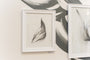 A framed abstract pencil drawing on a white wall showcases a flowing, leaf-like shape from the Megan Wolfe collection. Adjacent is a larger piece with similar design elements, embodying the spirit of Wings & Pieces at Spoke Art Gallery.