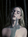 Sarah Joncas - "Beguile" - Spoke Art
