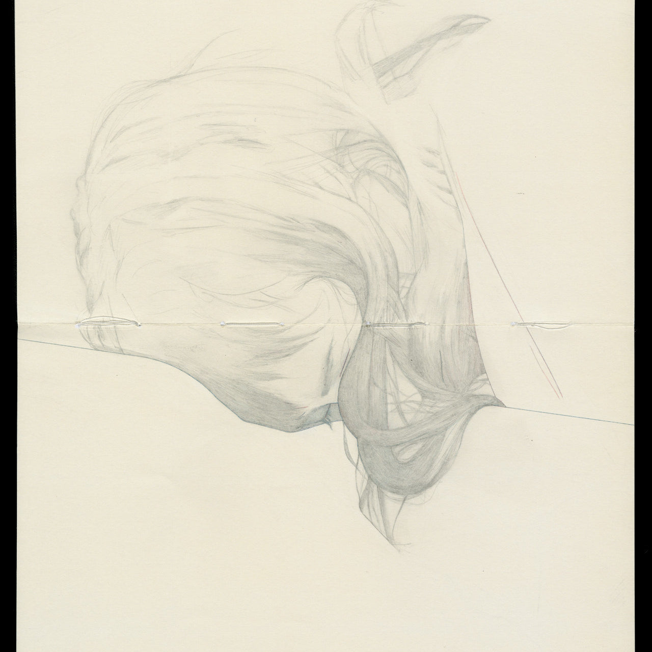 Steve Kims ethereal pencil sketch of a womans profile, drawn with graphite on paper, depicts her downward gaze. Her long hair softly flows to the side, merging seamlessly with the light-toned background.