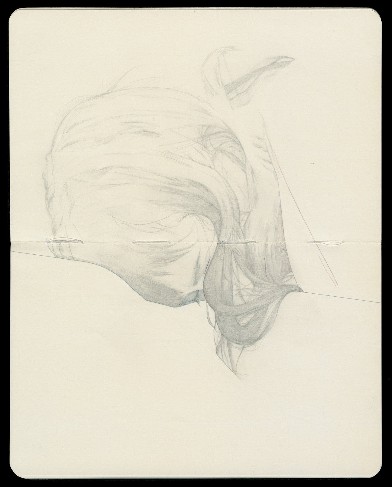 Steve Kims ethereal pencil sketch of a womans profile, drawn with graphite on paper, depicts her downward gaze. Her long hair softly flows to the side, merging seamlessly with the light-toned background.