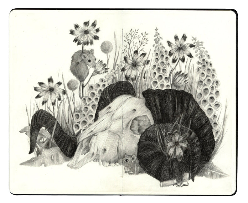 Susannah Kelly - "When I Tried To Say" - Spoke Art