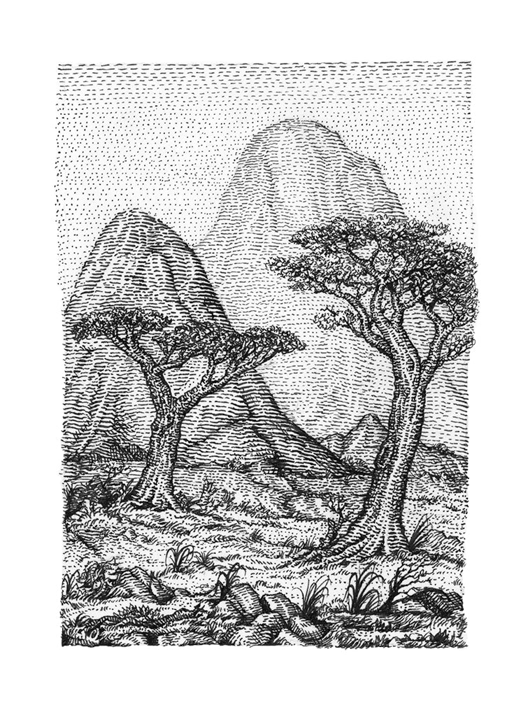 David Welker - "The Savannah" - Spoke Art