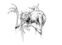 Alex Pardee - "Tofu and CHUD" - Spoke Art