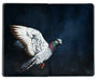 Vanessa Foley - "Symphony" - Spoke Art