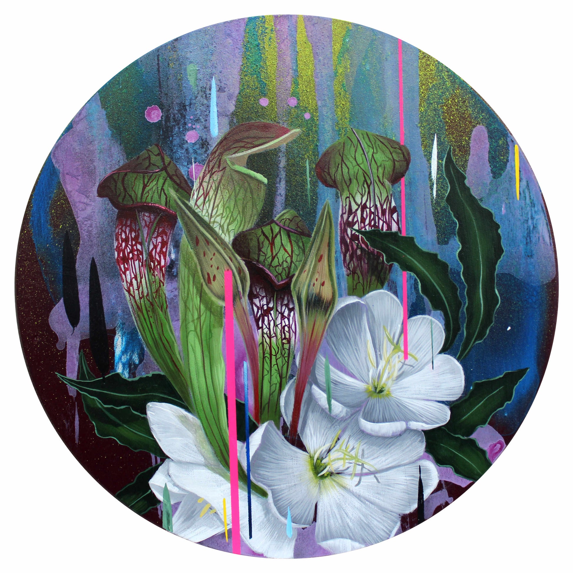 Frank Gonzales - "Tufted Primrose & Bug Bats" - Spoke Art