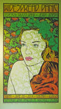 Chuck Sperrys stunning concert poster features a womans portrait amidst foliage and highlights Widespread Panic Chicago 2014, Tedeschi Trucks Band, and Jerry Joseph. The design captures the essence of their June 20, 2014, show in Chicago, Illinois.