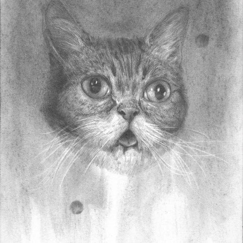 Zach Oldenkamp - "Eyes Wide Bub" - Spoke Art