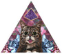 In a San Francisco gallery, Johannah ODonnell presents a triangular collage featuring a central wide-eyed cat with its tongue out, reminiscent of Lil Bub art exhibits. Smaller mirrored blue cat heads encircle it against a kaleidoscopic pink backdrop with a gleaming purple gemstone.