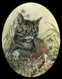A Jeremy Hush-style illustration features a wide-eyed kitten in grass and flowers, resembling an original painting. The scene is full of small creatures like ants and insects, perfectly capturing the kittens curious look in its natural setting.