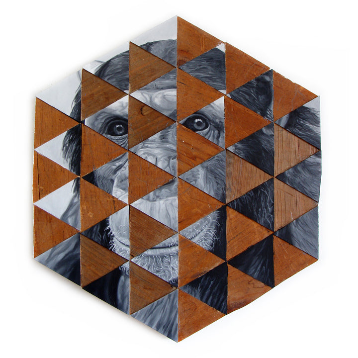 Peter Adamyan - "Cousin Chimp" - Spoke Art