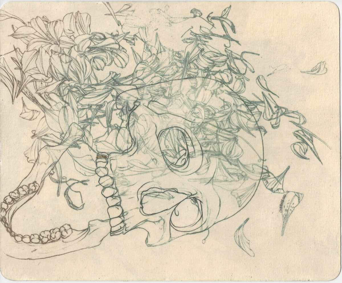 A pencil sketch of a skull with blooming flowers and vines showcases Christine Wus mixed media technique. Gold leaf accents on the petals and leaves set against a light beige background enhance the piece, blending life and decay.