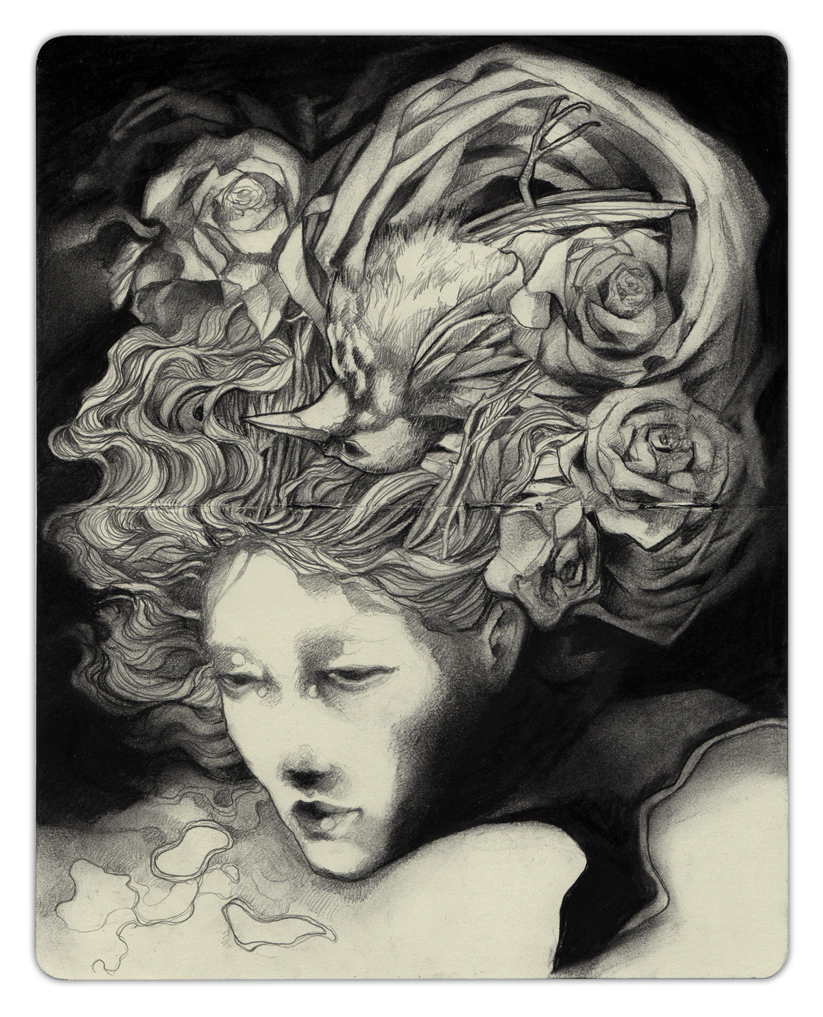 A serene womans face illustration by Craww in black and white, featuring wavy hair intertwined with roses and a bird. Crafted using graphite & charcoal, it captures a surreal, dreamlike quality that evokes wakeful imagination.