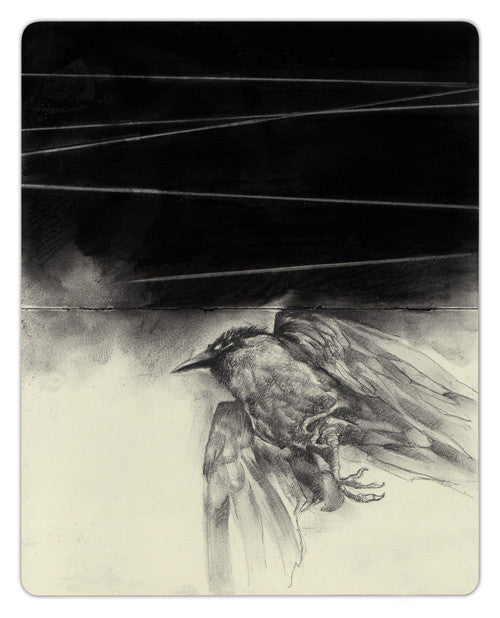 Crawws graphite and charcoal sketch showcases a bird on wires set against a moody, cloud-filled sky, beautifully emphasizing the birds feathers and enhancing the dramatic contrast.