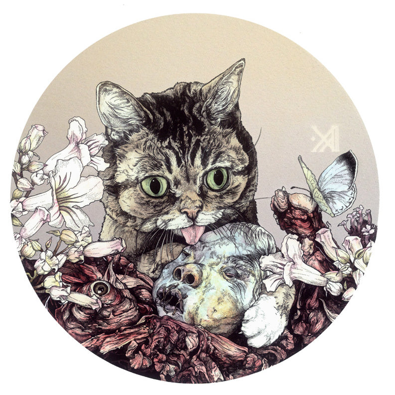 Kikyz1313 - "Frail Caress" - Spoke Art