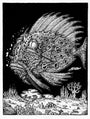 David Welker - "Passenger Fish" - Spoke Art