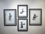 Four framed black and white Xiau-Fong Wee illustrations hang on a white wall. Each charcoal piece humorously depicts an animal—a horse, mouse, cat, and penguin—holding musical instruments or cameras.