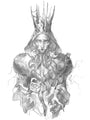 Eliza Ivanova - "Keep Her On Your Side" - Spoke Art