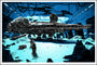 A Tim Doyle illustration depicts a spaceship like the Millennium Falcon in a dimly lit hangar. The silkscreen-style scene has a bluish hue, crates and equipment scattered about, and shadows from the spacecraft accentuating the cavernous space.