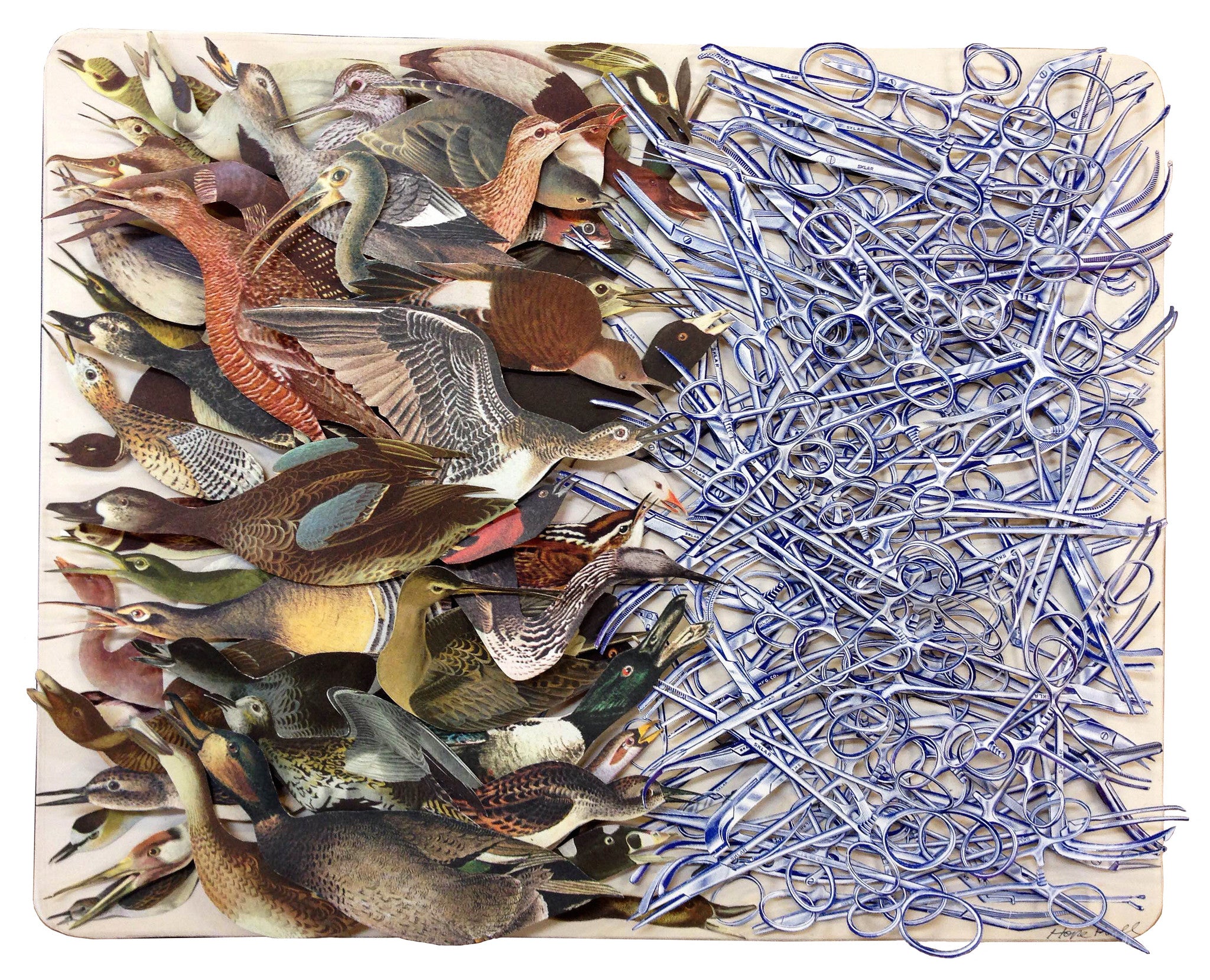 Hope Krolls hand-cut collage on a Moleskine displays mid-flight birds on the left, contrasting intricately arranged hemostats and clamps on the right, artfully juxtaposing natures beauty with precision medical tools.