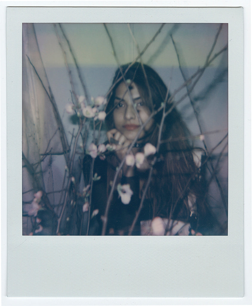 Helice Wen - "Polaroid No. 2" - Spoke Art