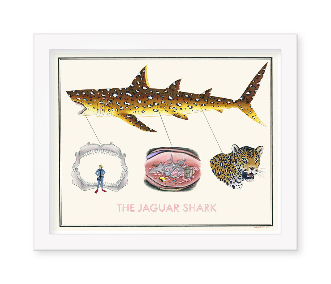 Ryan Berkley - "The Jaguar Shark" - Spoke Art